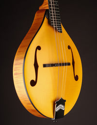 Collings MT Honey Amber