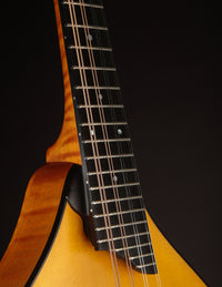 Collings MT Honey Amber