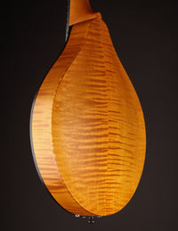 Collings MT Honey Amber