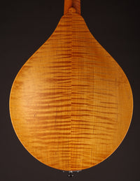 Collings MT Honey Amber