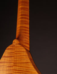 Collings MT Honey Amber