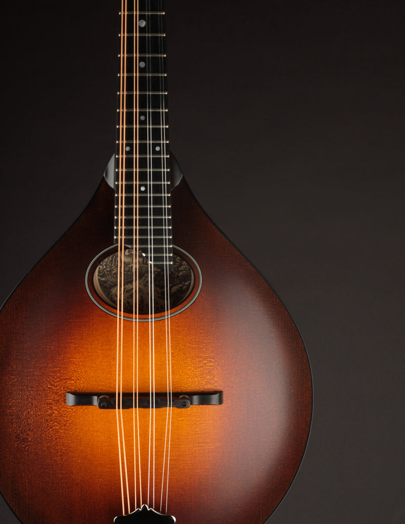 Collings MT-O Sunburst