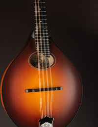 Collings MT-O Sunburst