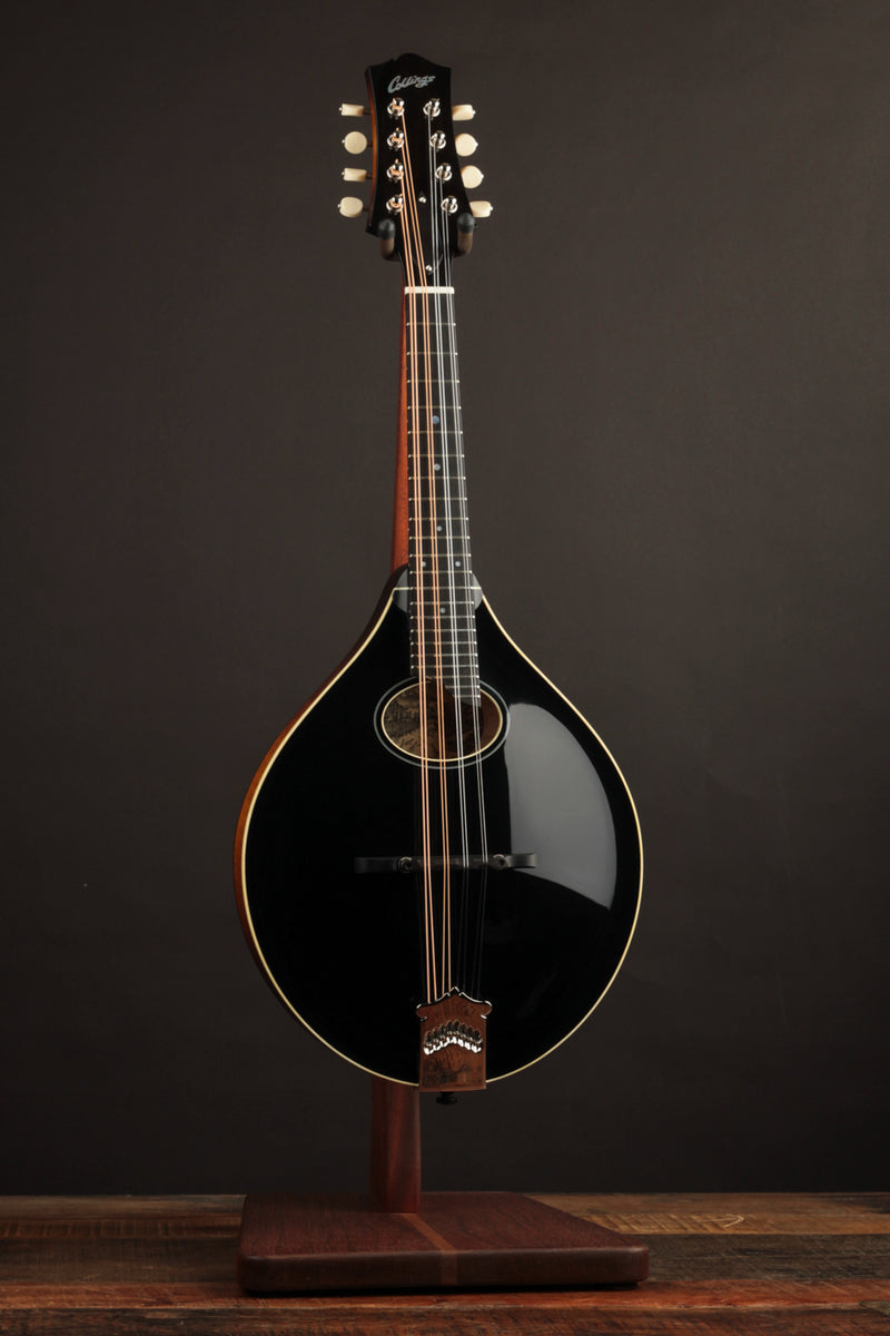 Collings MT-O Gloss Black Top