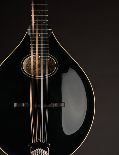 Collings MT-O Gloss Black Top