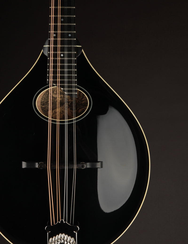 Collings MT-O Gloss Black Top
