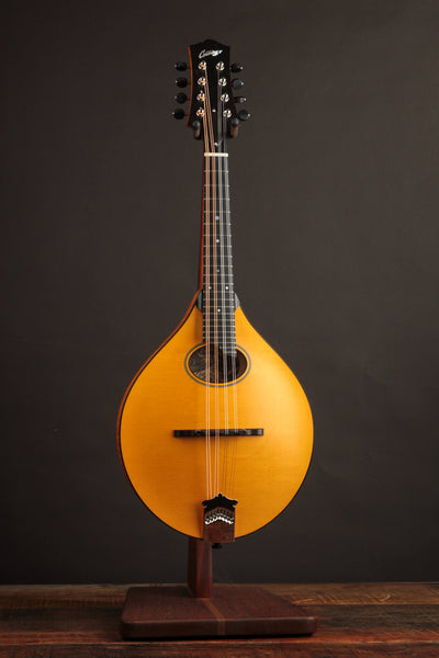 Collings MT-O Honey Amber