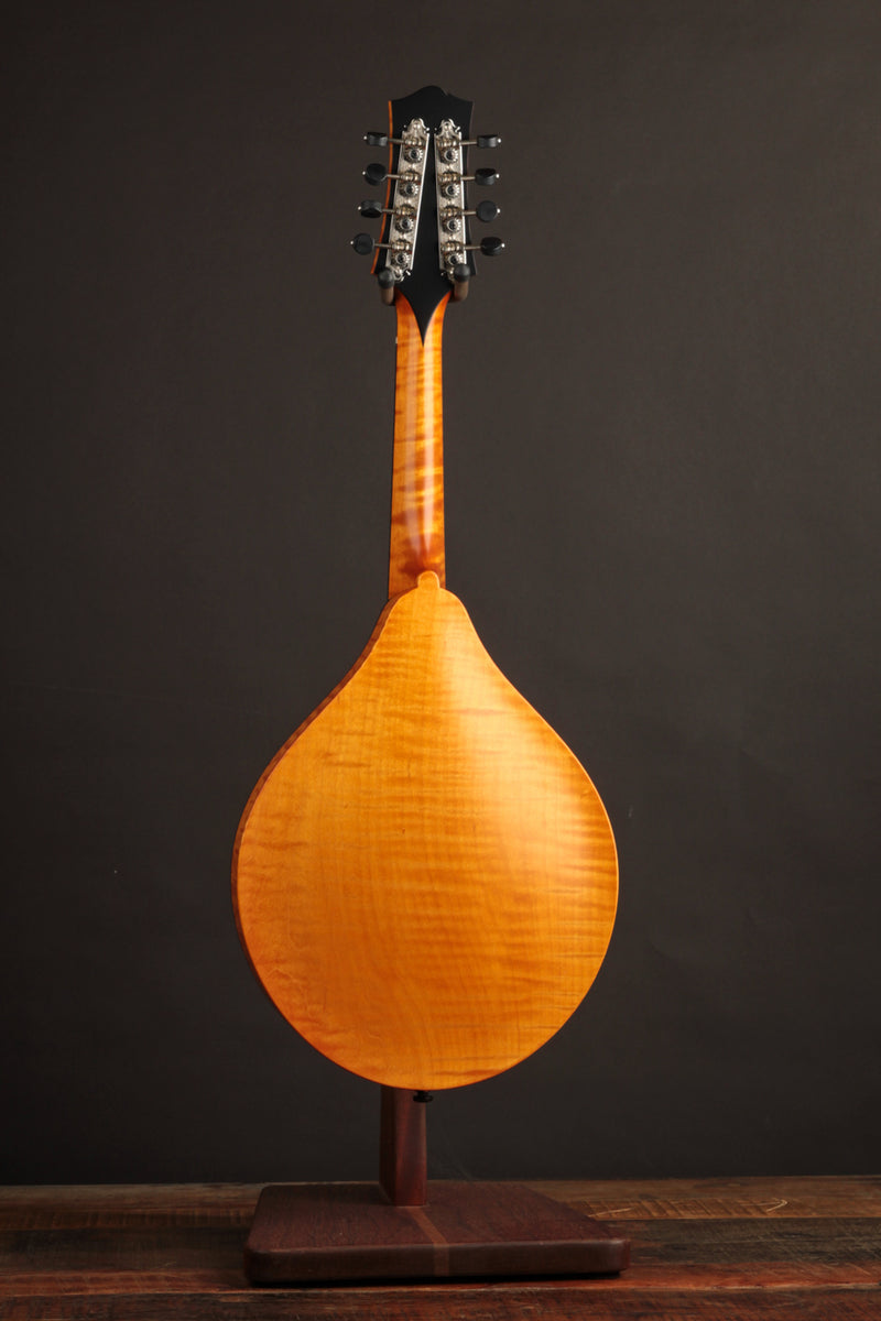 Collings MT-O Honey Amber