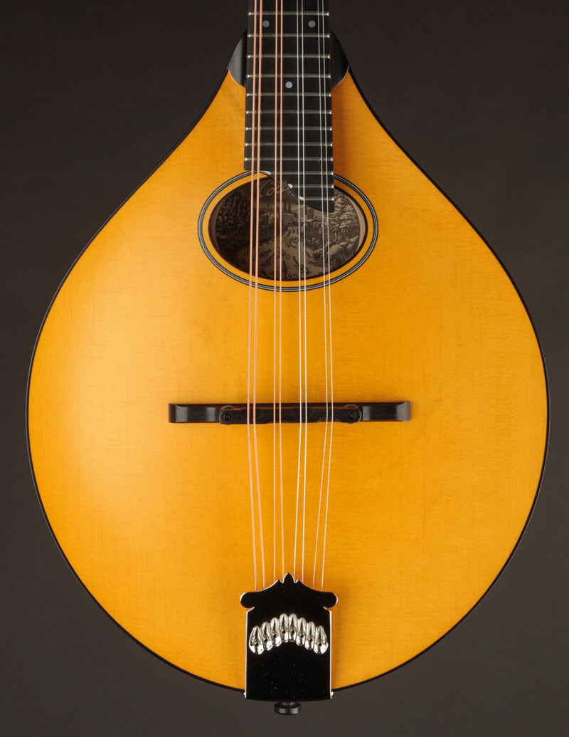 Collings MT-O Honey Amber