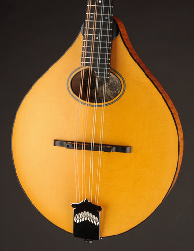 Collings MT-O Honey Amber