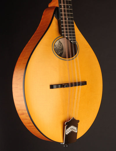 Collings MT-O Honey Amber