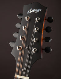 Collings MT Sunburst Wide Nut