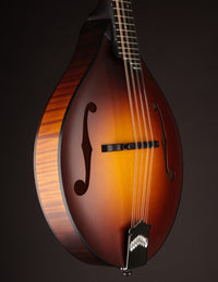 Collings MT Sunburst Wide Nut