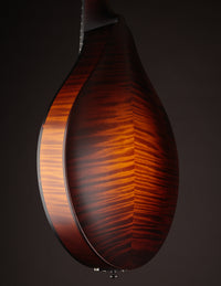 Collings MT Sunburst Wide Nut