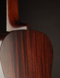 Waterloo WL-14 L Sunburst w/ Truss Rod
