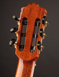 Cordoba C10 Spruce & Indian Rosewood