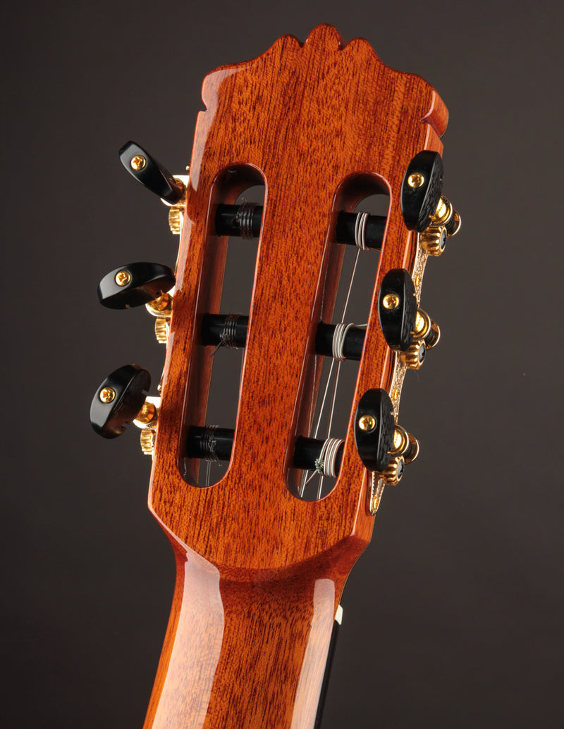 Cordoba C10 Spruce & Indian Rosewood
