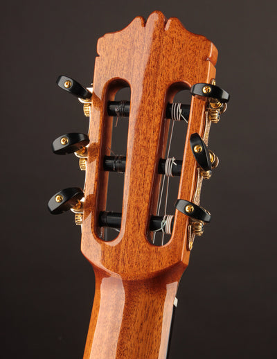 Cordoba C12 Cedar & Indian Rosewood