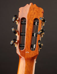 Cordoba C12 Cedar & Indian Rosewood