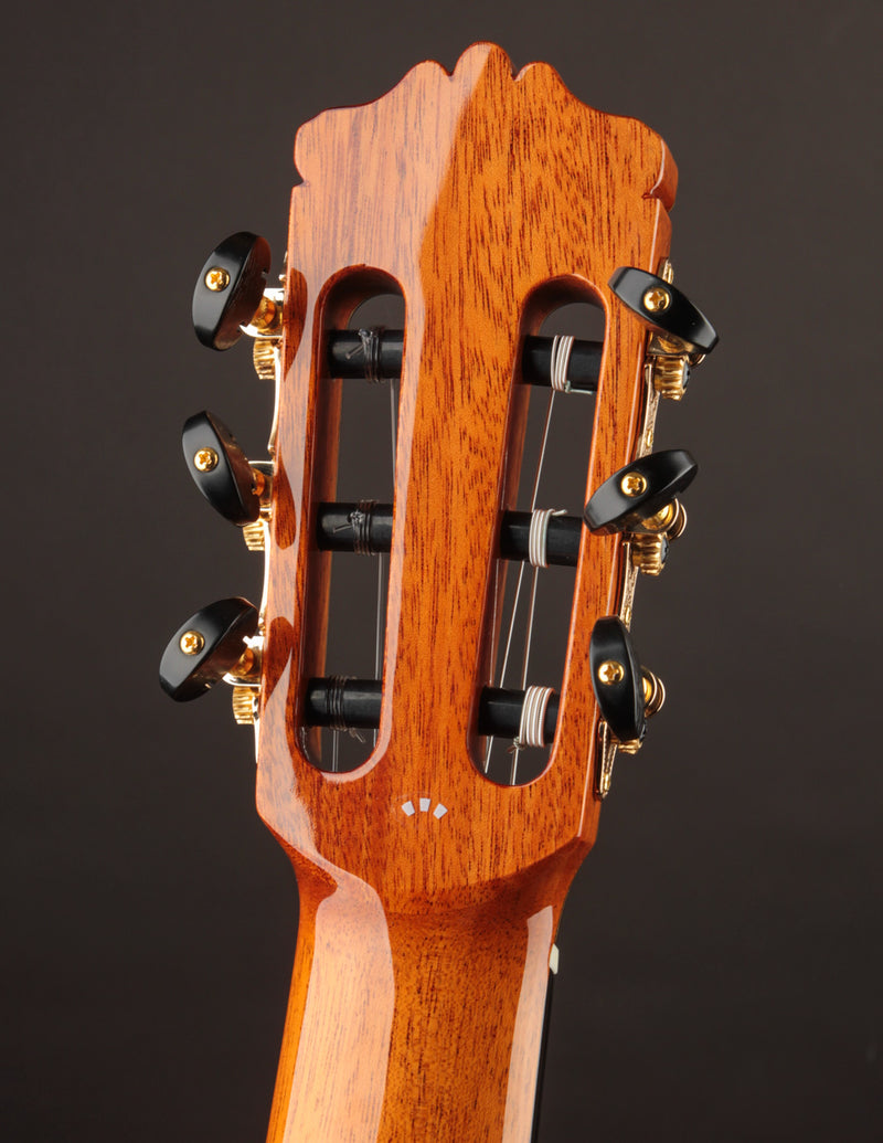 Cordoba C12 Cedar & Indian Rosewood