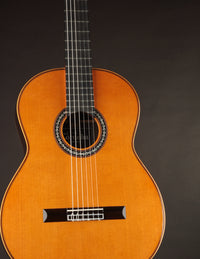Cordoba C12 Cedar & Indian Rosewood