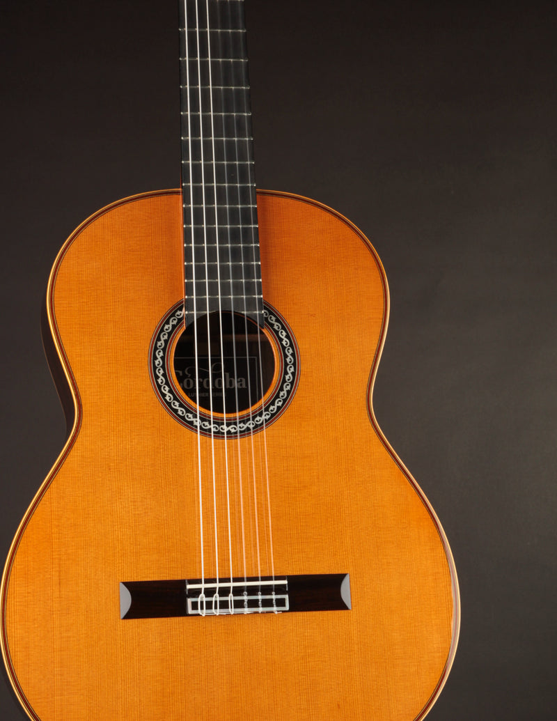 Cordoba C12 Cedar & Indian Rosewood