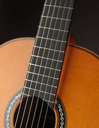 Cordoba C12 Cedar & Indian Rosewood