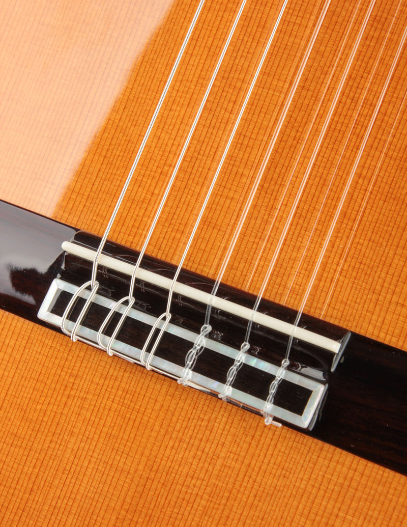 Cordoba C12 Cedar & Indian Rosewood
