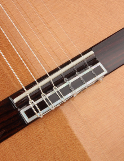 Cordoba C12 Cedar & Indian Rosewood