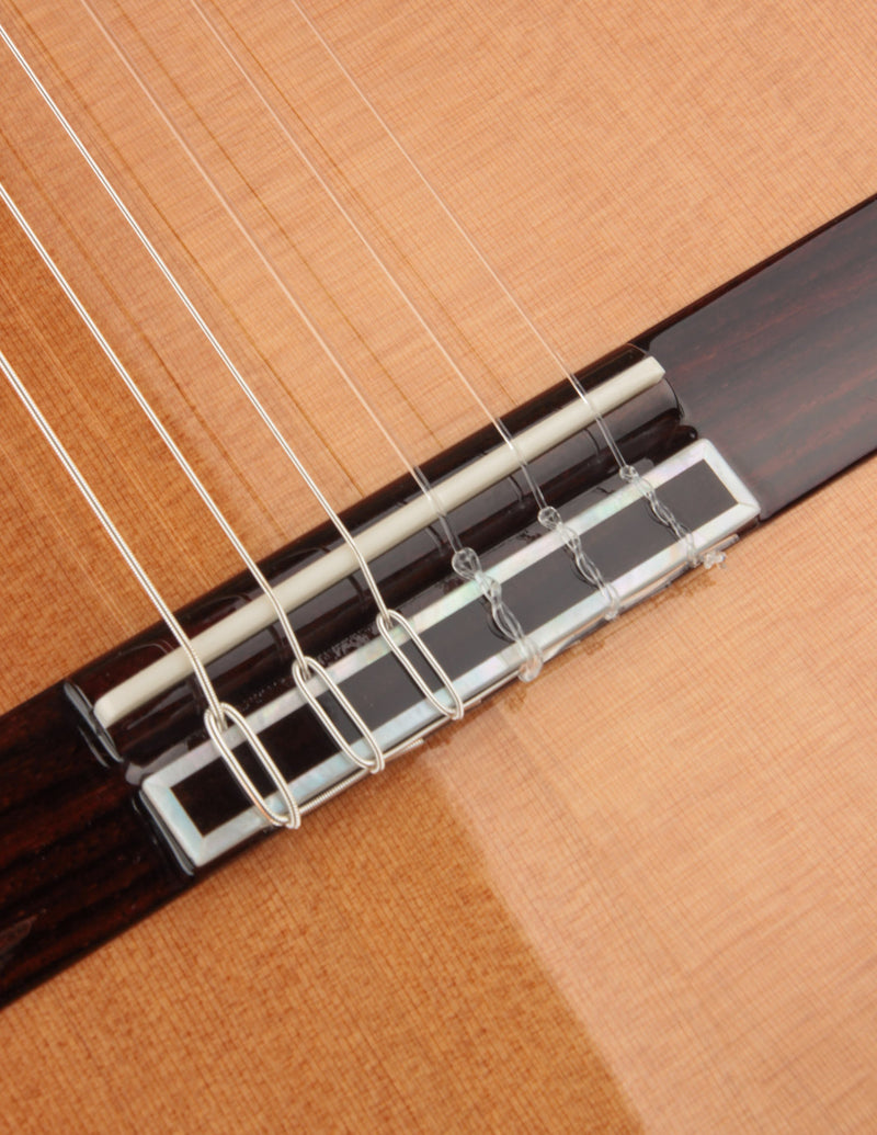 Cordoba C12 Cedar & Indian Rosewood