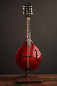 Eastman MD505CC/TV A style