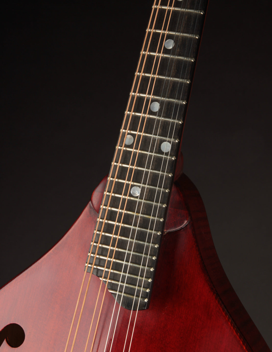 Eastman MD505CC/TV | The Music Emporium