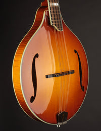 Eastman MDO605 Octave Mandolin - Goldburst