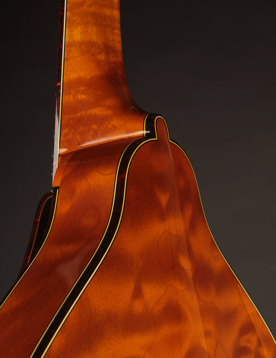 Ellis A5 Reserve Honey Amber w/Engraved Tailpiece