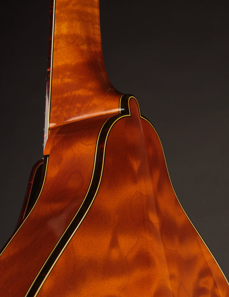 Ellis A5 Reserve Honey Amber w/Engraved Tailpiece