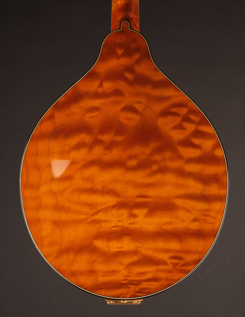 Ellis A5 Reserve Honey Amber w/Engraved Tailpiece