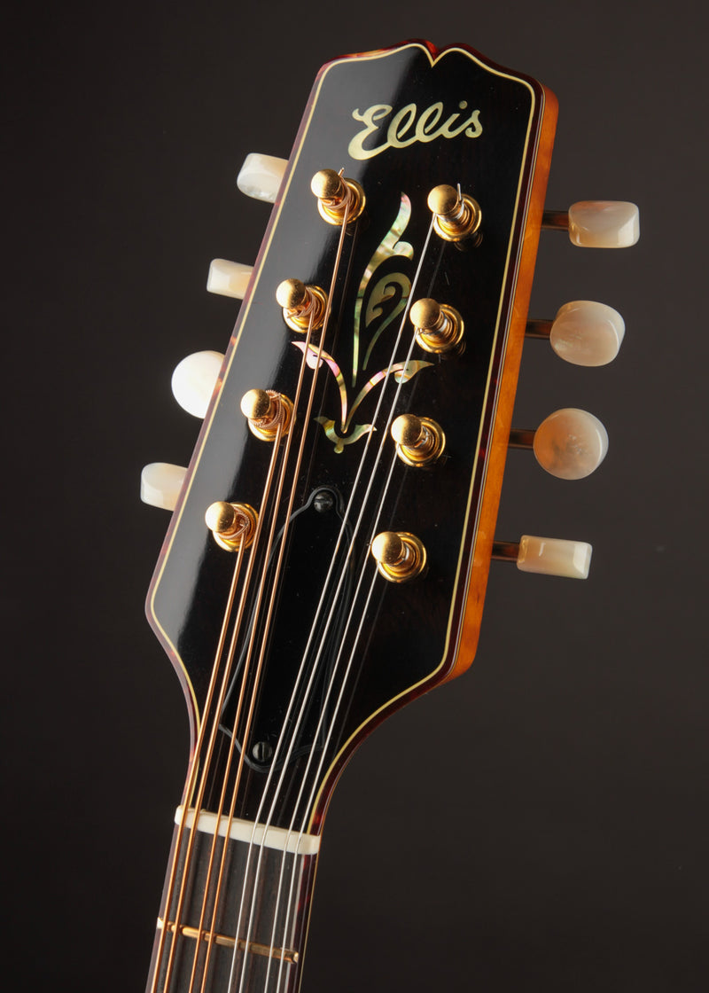 Ellis A5 Reserve Honey Amber w/Engraved Tailpiece