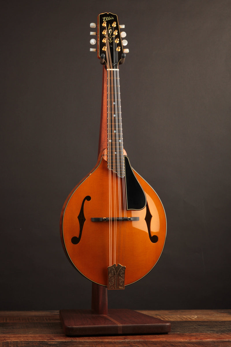 Ellis A5 Reserve Honey Amber w/Engraved Tailpiece