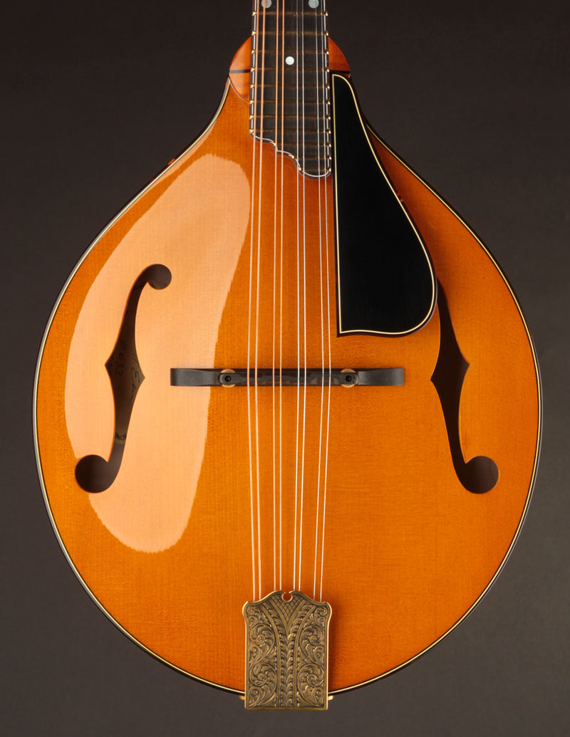 Ellis A5 Reserve Honey Amber w/Engraved Tailpiece