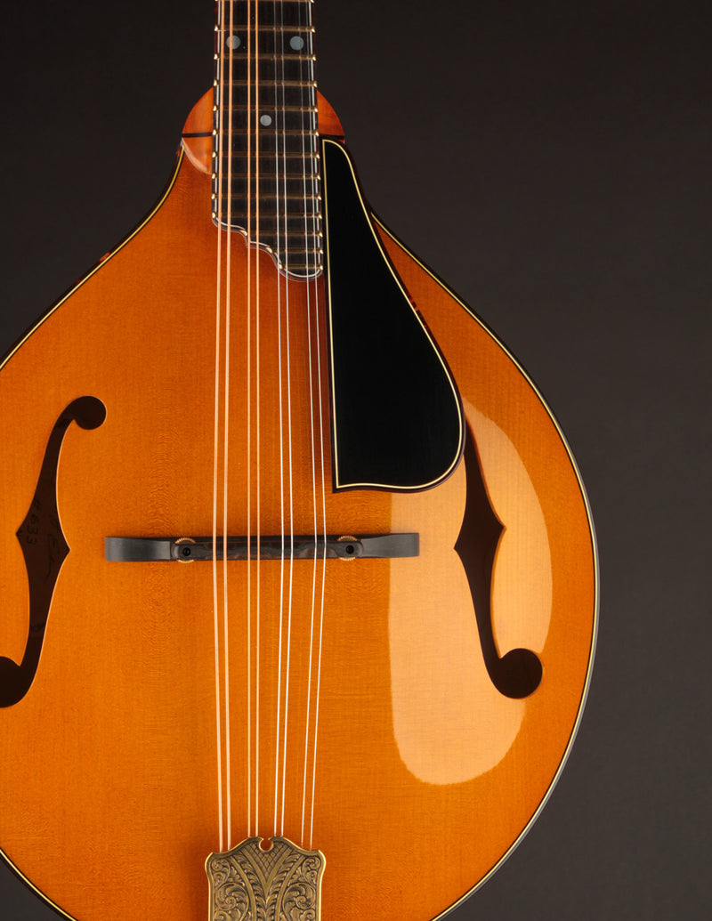 Ellis A5 Reserve Honey Amber w/Engraved Tailpiece