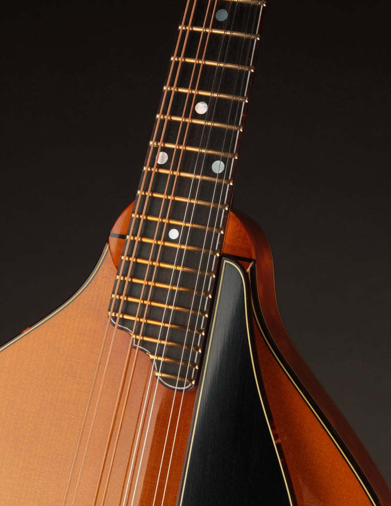Ellis A5 Reserve Honey Amber w/Engraved Tailpiece
