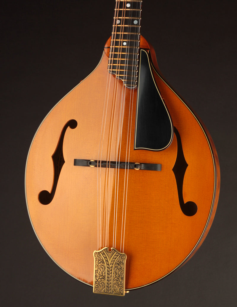 Ellis A5 Reserve Honey Amber w/Engraved Tailpiece