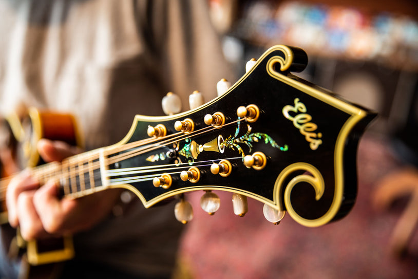 Ellis Instruments Ellis Mandolins | The Music Emporium