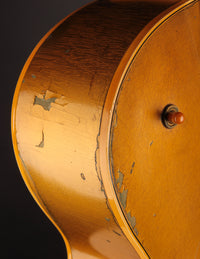 Gibson ES-295 (1956)