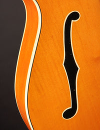 Gretsch 6120 Nashville Chet Atkins (1965)