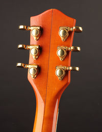 Gretsch 6120 Nashville Chet Atkins (1965)
