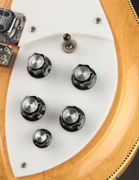 Rickenbacker 381/V69 Mapleglo (USED, 1989)