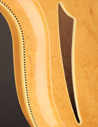 Rickenbacker 381/V69 Mapleglo (USED, 1989)