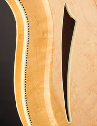 Rickenbacker 381/12V69 Mapleglo (USED, 1989)