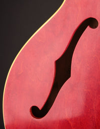 Gibson ES-330TDC (1966)